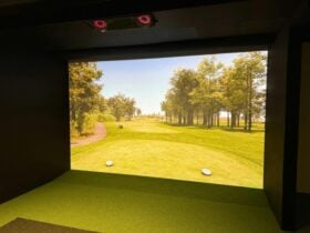 Birdies Bay with high-tech ProTee VX golf simulator and launch monitor