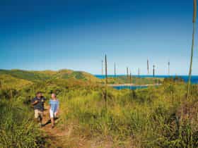 Birdwatching on Keswick Island