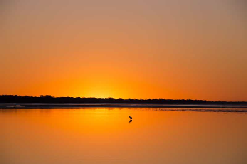 Hervey Bay Birdwatching