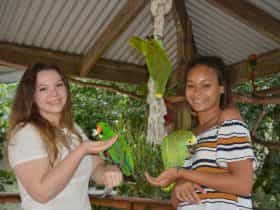 Get up close at Birdworld Kuranda