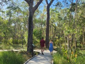couple on bushland boardwalk