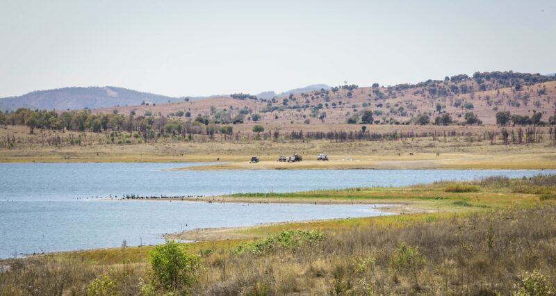 Lake Callide contains birds