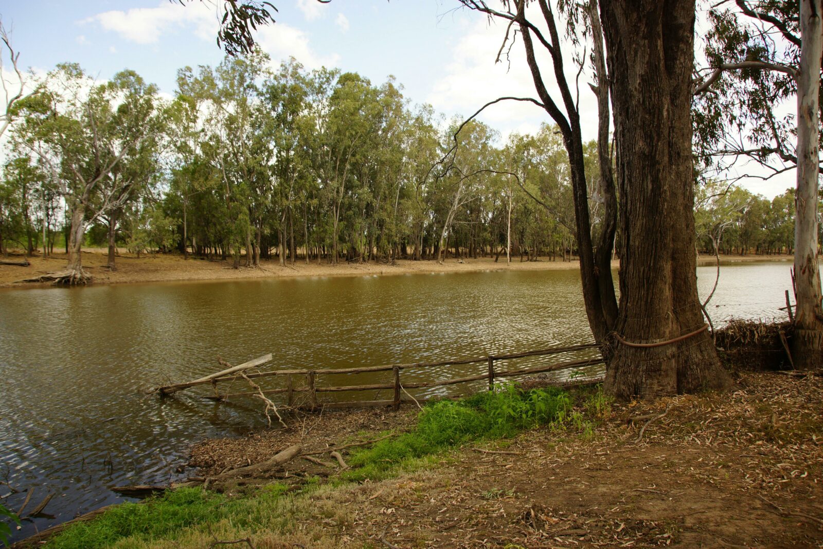 Banks of Lake Pleasant