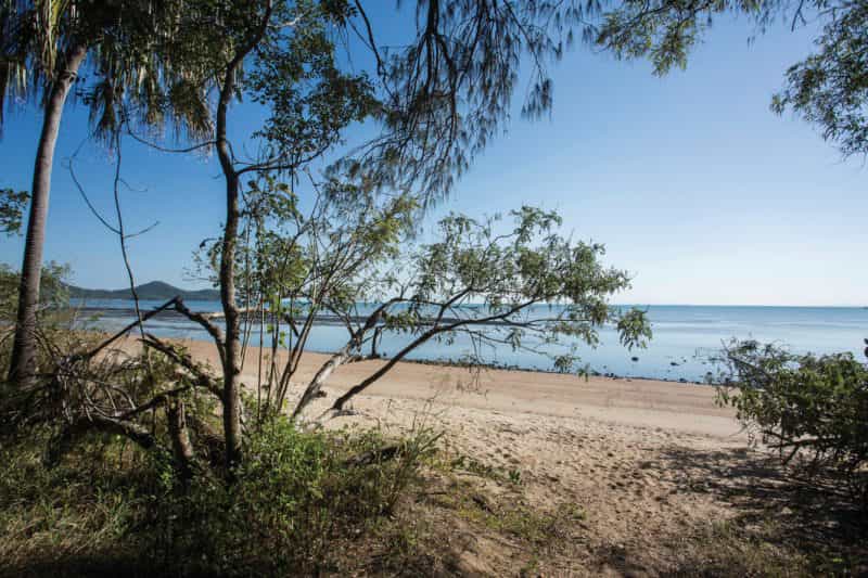 Beachside camping area