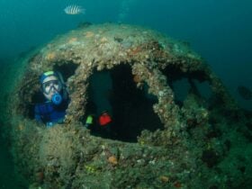 Cochrane Artificial Reef