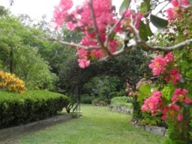 Entry to main lawn