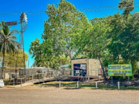 outback caravan park, outback queensland, spacious cabins, shady campground, camping, caravan, stay