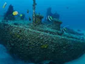 Curtain Artificial Reef