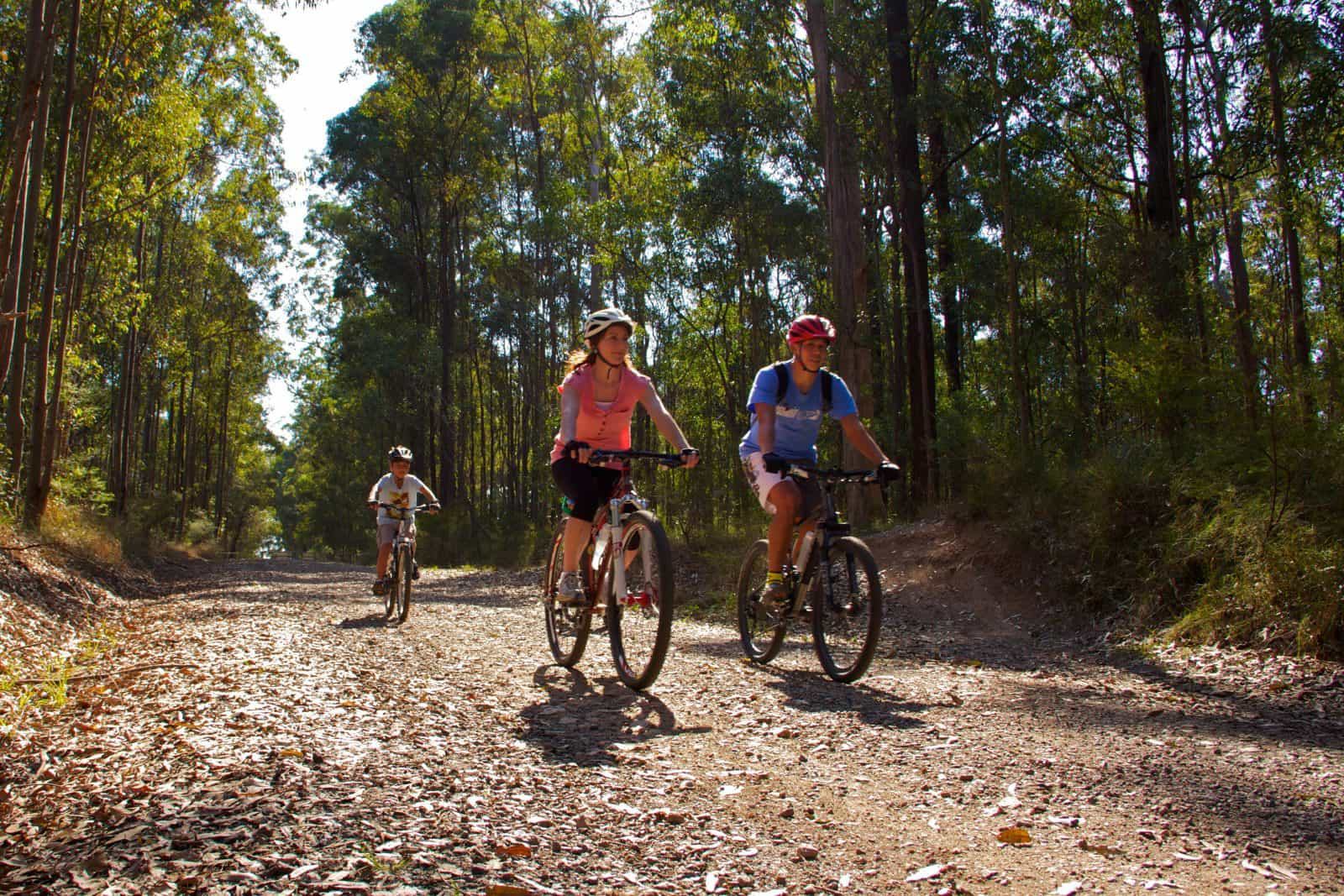 Family rides bicycles along dirt track fringed by forest.