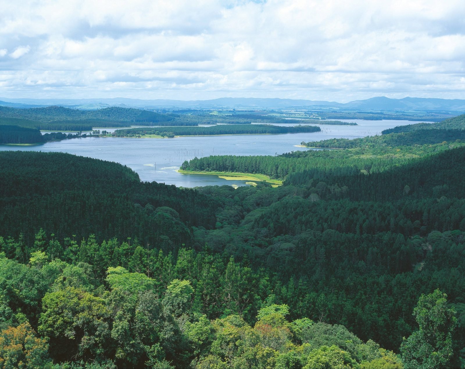 Aerial of Lake Tinaroo, Danbulla