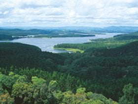 Aerial of Lake Tinaroo, Danbulla