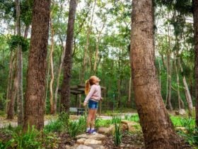 Denmark Hill Conservation Reserve