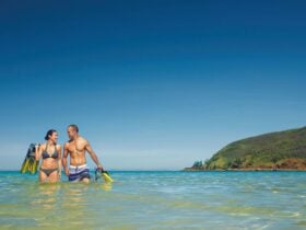 Scuba Diving on Keswick Island