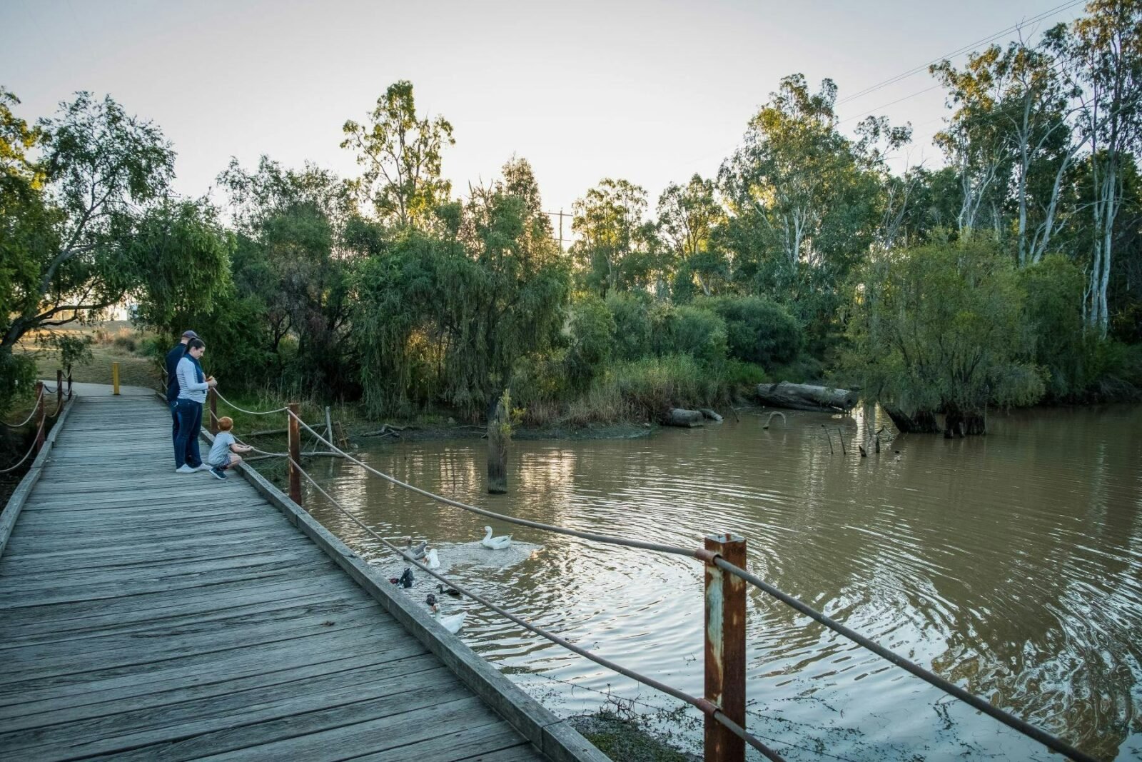 Dogwood Creek Walking Track Miles