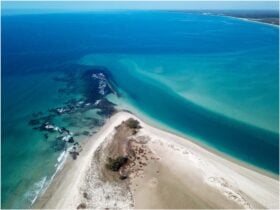 Dr Mays Island