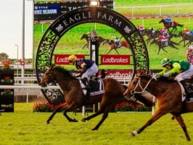 A horse running past the Eagle Farm winning post