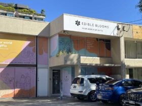 Edible Blooms - Brisbane