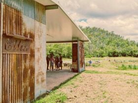 Ellia's Garden Shed/Shop