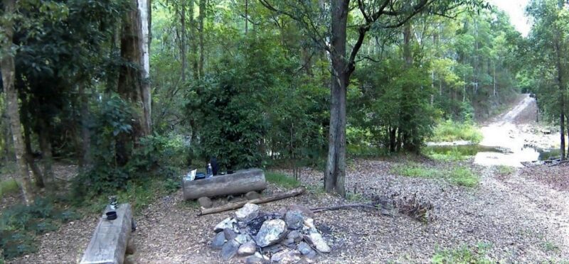Two log seats beside a campfire spot in England Creek Bush Camp