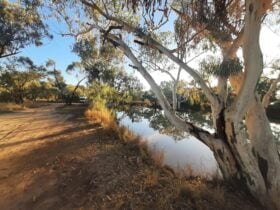 Paroo River Eulo