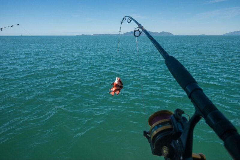 Fishing at Magnetic Island