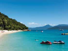Rainforest slopes meet the ebach at Fitzroy Island