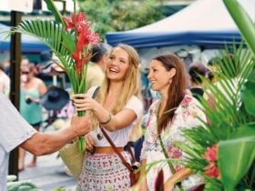 Cotters Markets