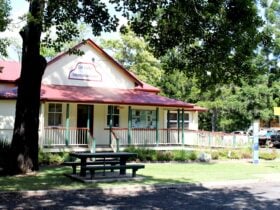 External View of the Esk Visitor Information Centre - older building with wrap verandah, trees