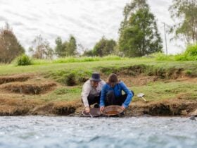 A couple panning for gold in the creek