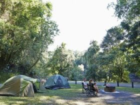 Family sitting around fir ring with tents set up in the background.
