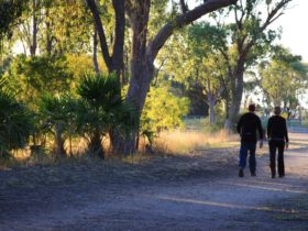 People walking at Botanic Gardens