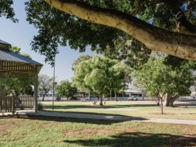 Goondiwindi Town Park
