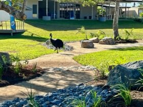 Goondoi Dreamtime Trail