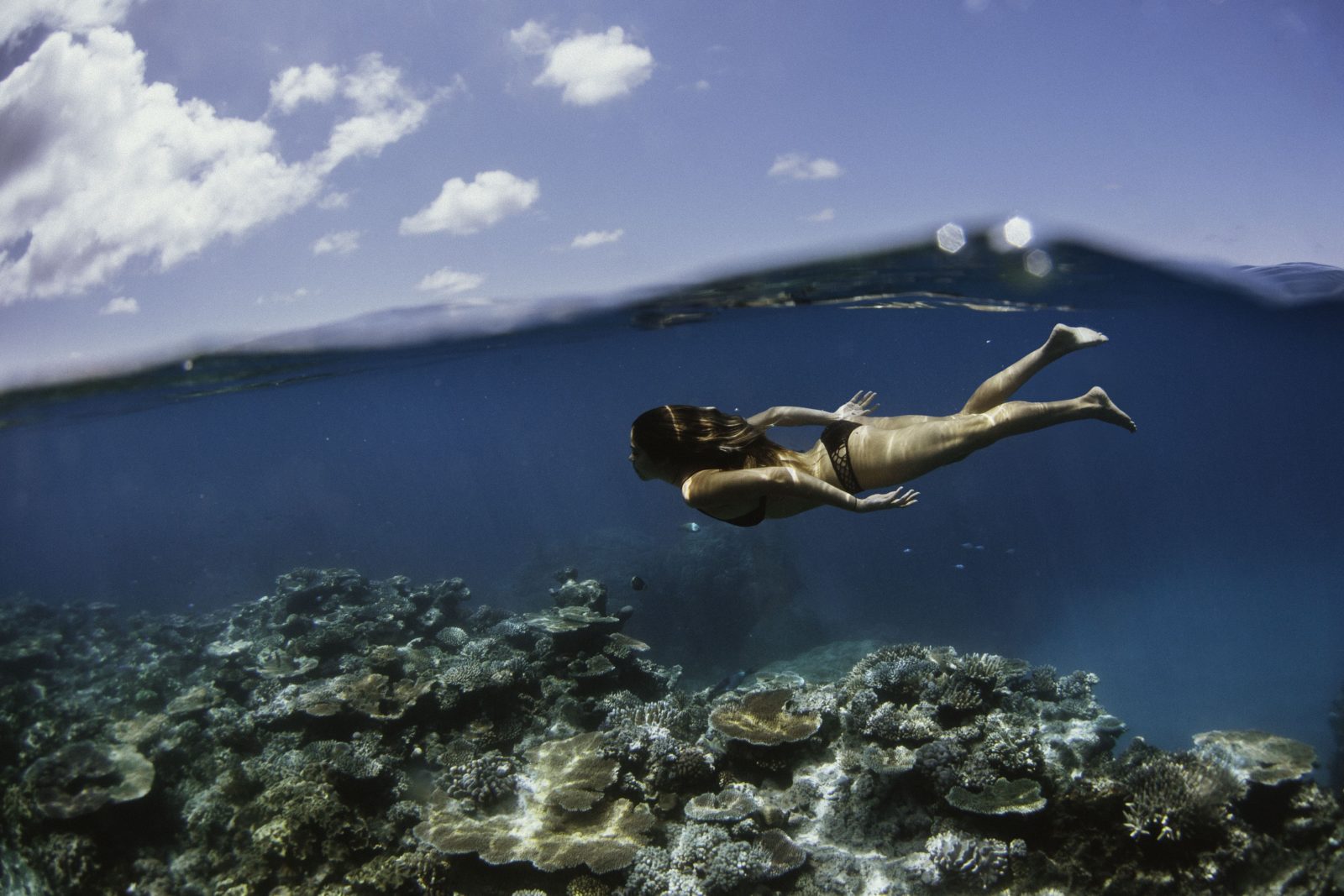 Snorkelling the Great Barrier Reef off Cairns