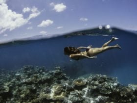Snorkelling the Great Barrier Reef off Cairns