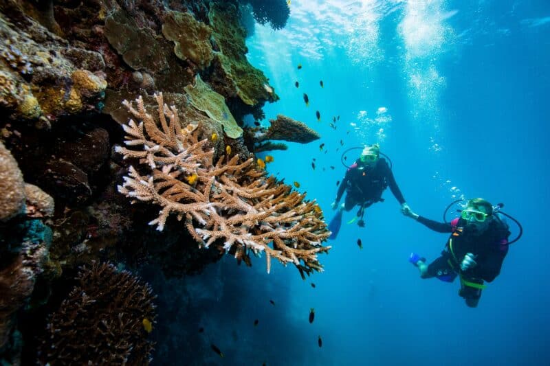 Two divers exploring the coral reef holding hands