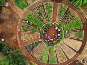 Aerial image of the mandala garden