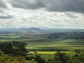Rolling hills and farmland views from Hallorans Hill