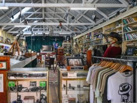 Herberton Spy & Camera Museum