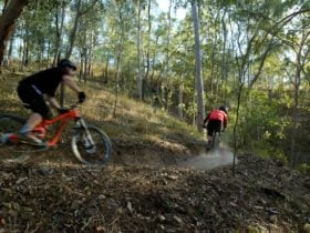 Hillview Drive Reserve