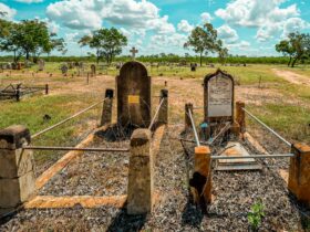 Croydon historic cemetery, grave, sandstones, victorian era, chinese settlers