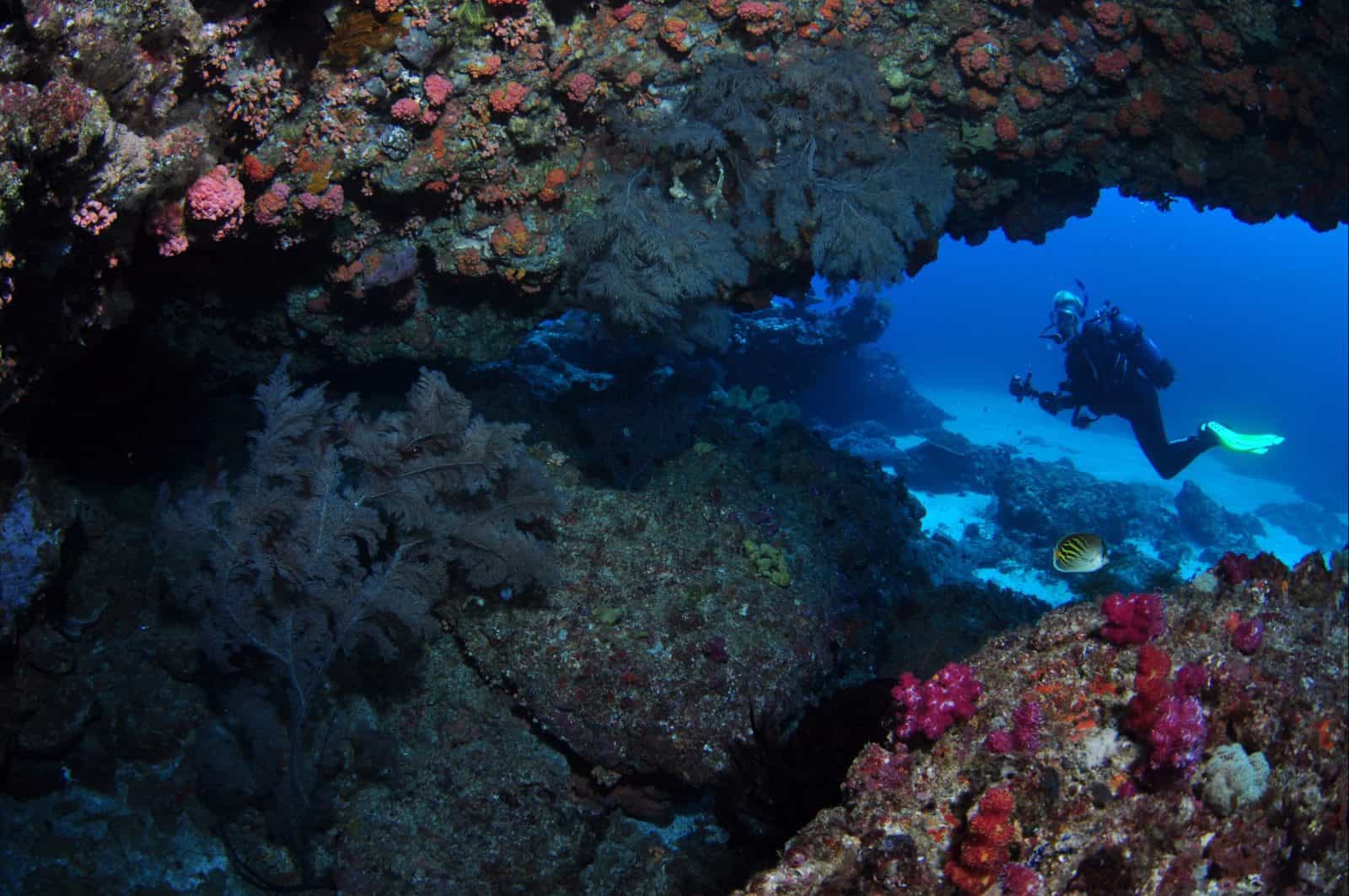 Hutchinson Shoal Dive Site