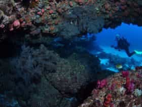 Hutchinson Shoal Dive Site