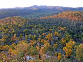 Elevated views over forested hills, valleys and peaks.