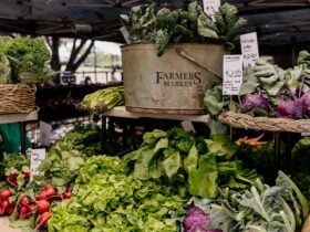 Market table at Jan Powers Farmers Markets laden with fresh vegetables