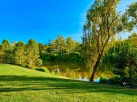 Joseph Brady Park