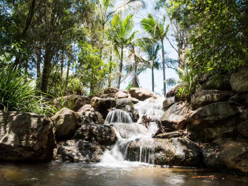Kholo Gardens, Pine Mountain, Ipswich, Queensland