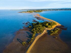 King Island Walk