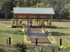 Picnic area at Apex Park