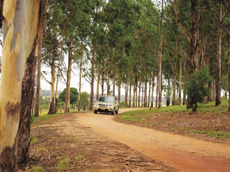 Country driving, Kingaroy